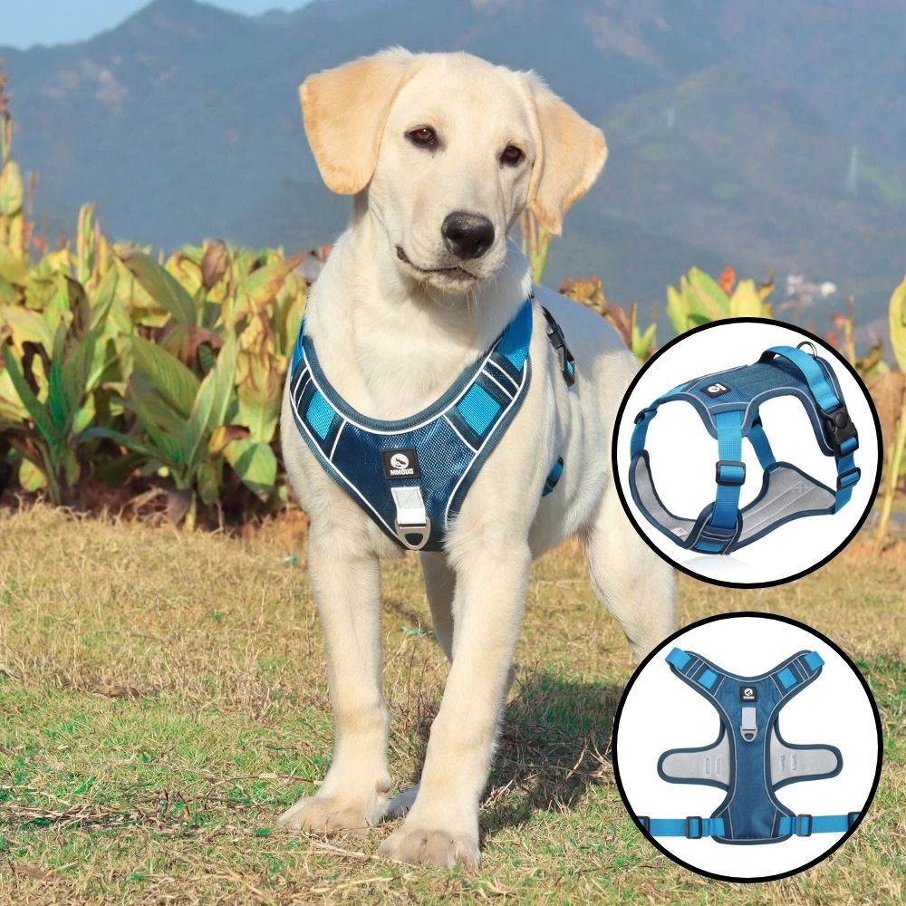 harnais-chien-bleu-flexiharn