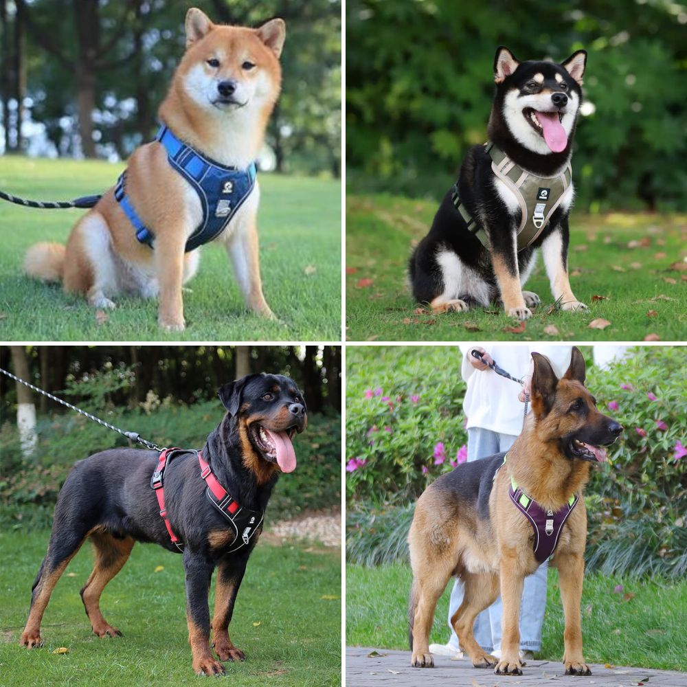 harnais-chien-multi-flexiharn